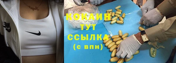 гидра Алзамай